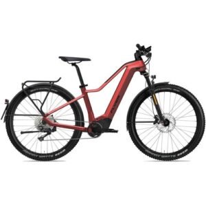 Flyer G2 Goroc2 6.30 HS EU – 750 Wh – 29 Zoll – Diamant